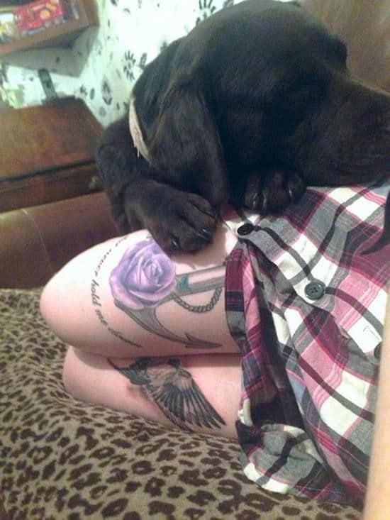 24-rose-and-anchor-tattoo-thigh
