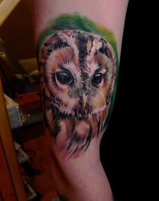 arm colorful owl tattoo