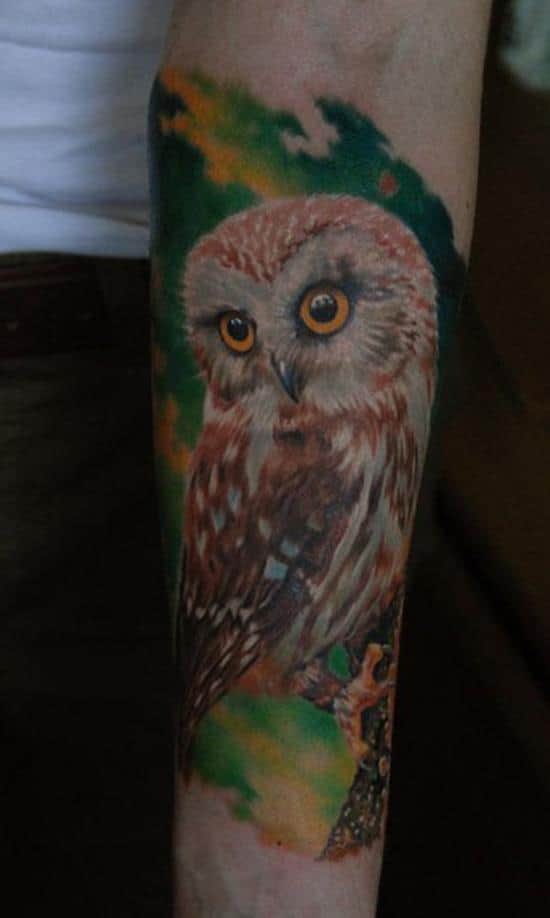 owl tattoo on green background