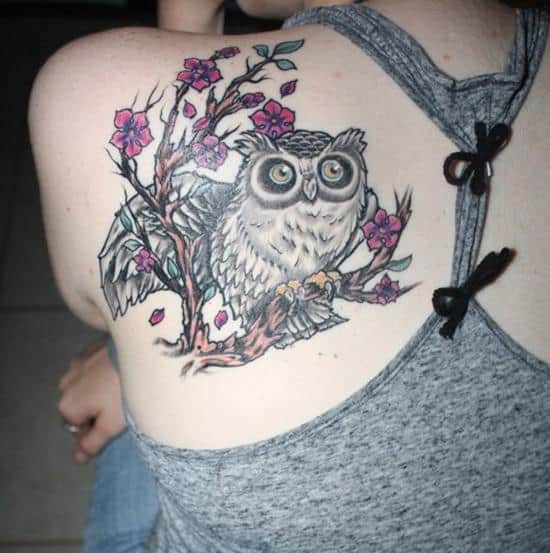 shoulder blade owl tattoo woman