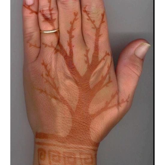 henna-tattoos-33