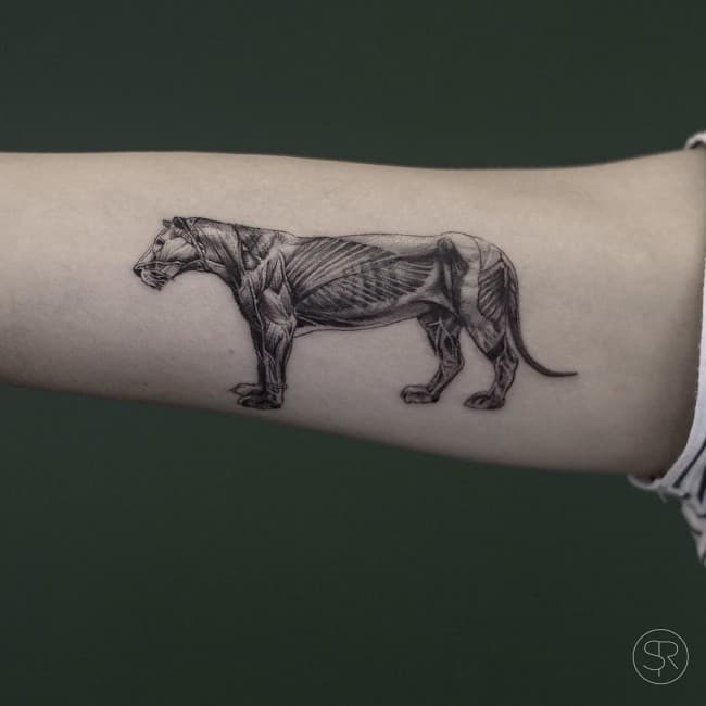 lion tattoo