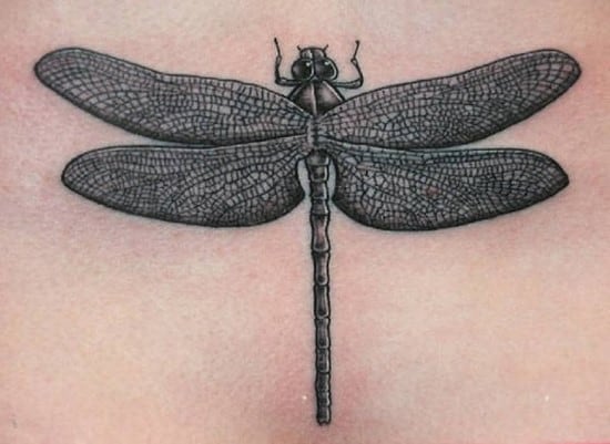 20 Striking Dragonfly Tattoo Ideas For Women  Tikli