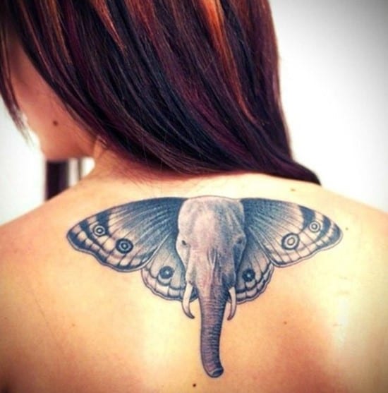 17-Butterfly-elephant-tattoo