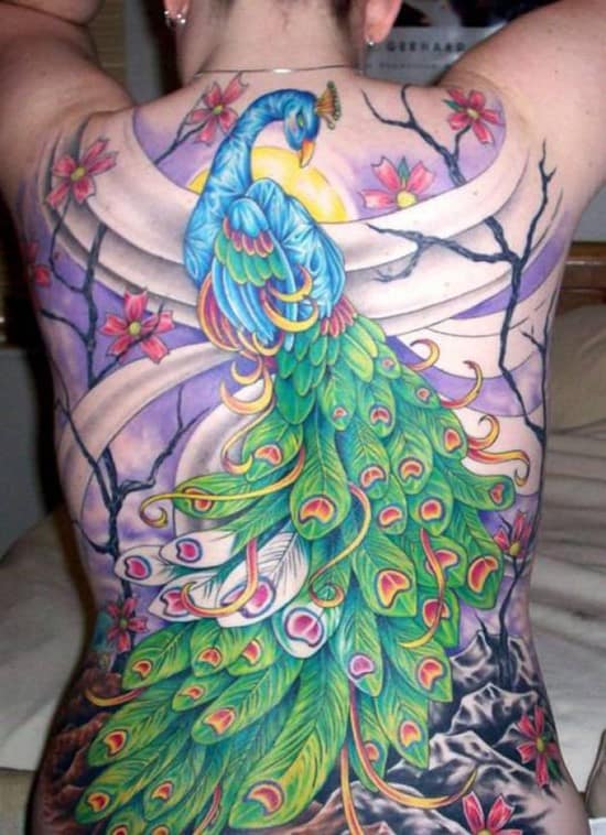 26-Peacock-Tattoos-cherry-blossom