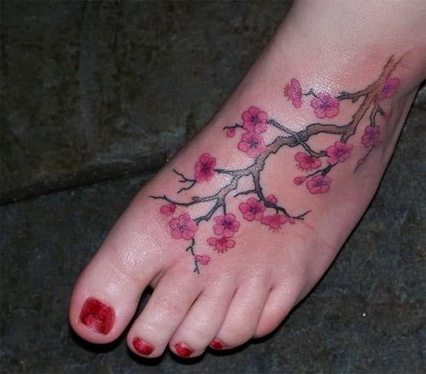 28-small-cherry-blossom-tree-on-foot