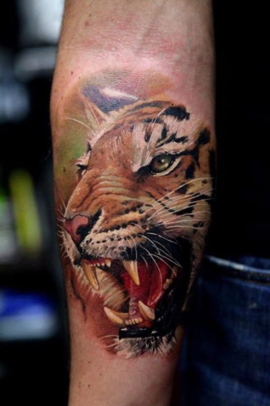 tiger portrait on arm