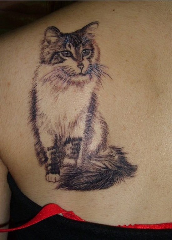 34-cat-back-tattoo