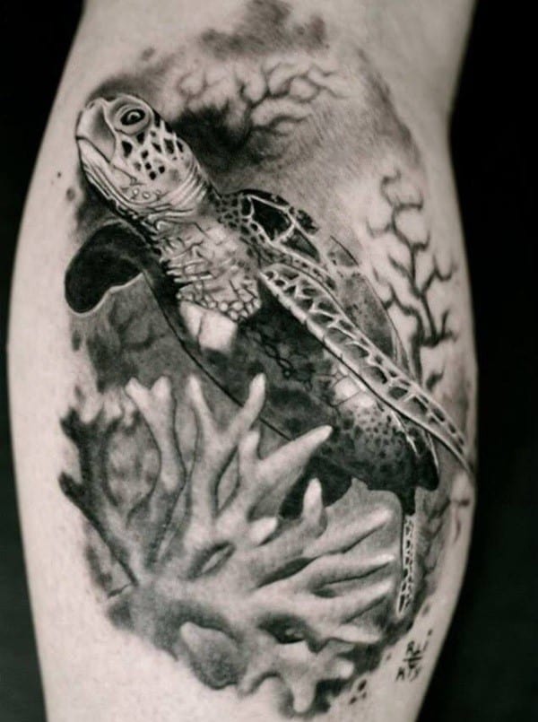 75+ Outstanding Turtle Tattoo Ideas and Symbolism Behind Them | Turtle  tattoo designs, Turtle tattoo, Tattoos