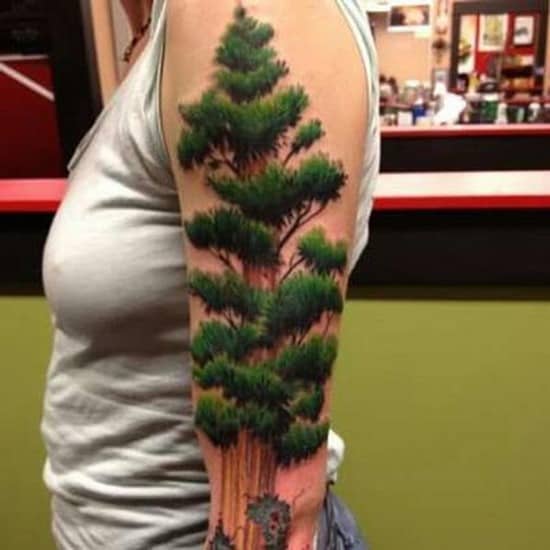 tree tattoo