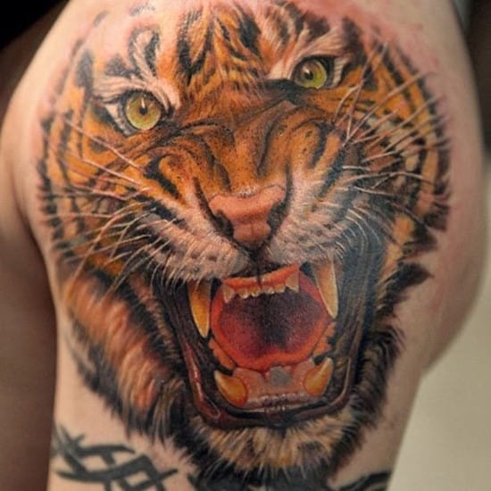 realistic tiger tattoo design