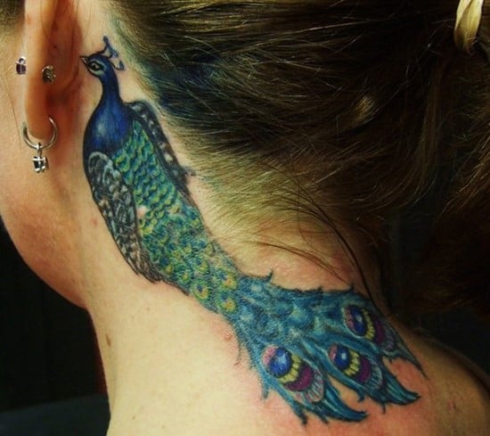 44-Peacock-Tattoo-Behind-the-Ear
