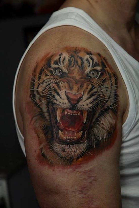 realistic tiger on shoulder tattoo