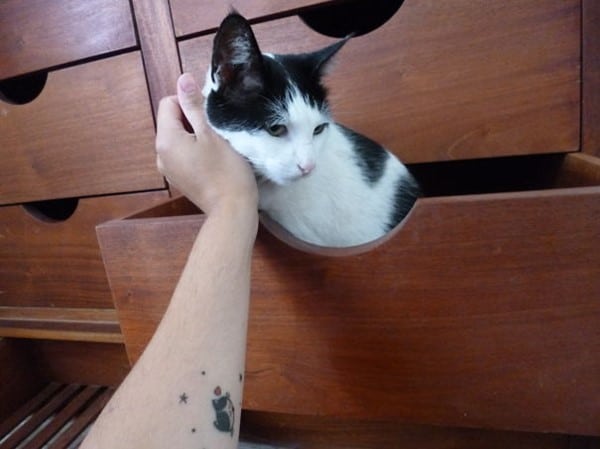 AD-Minimalistic-Cat-Tattoos-97