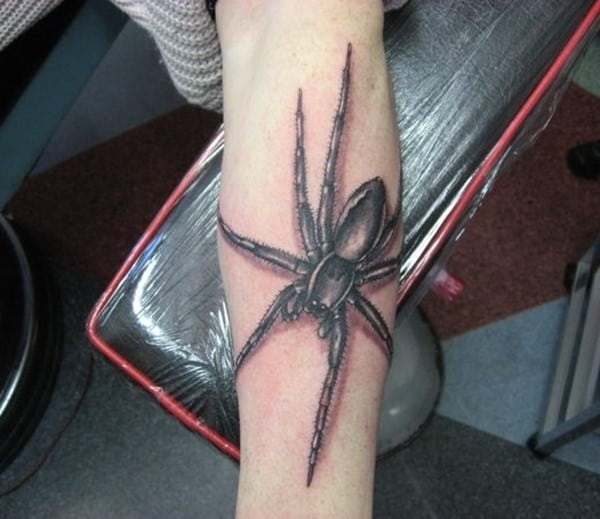 Spider Web Tattoo  neartattoos