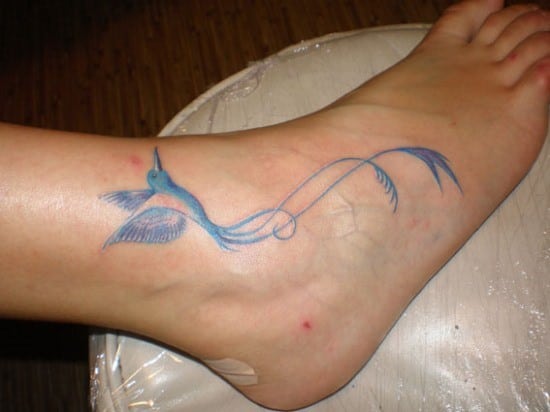 hummingbird tattoo on ankle ???????????????????????????????