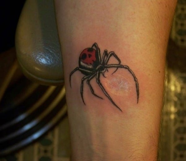 Spider-with-bite-tattoo-520x450