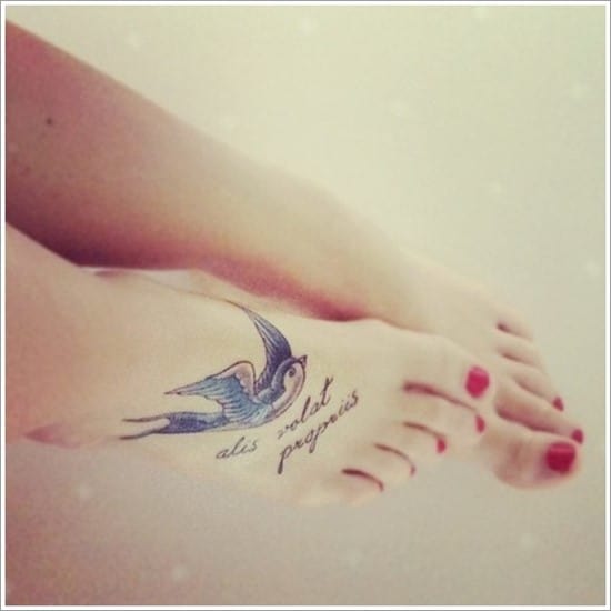 Swallow-tattoo-designs-20