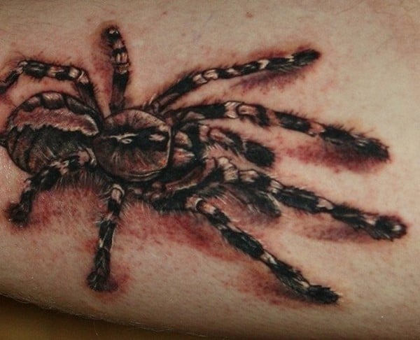 Wolf spider  by  Just Another Hole in the Wall Tattoo  Facebook