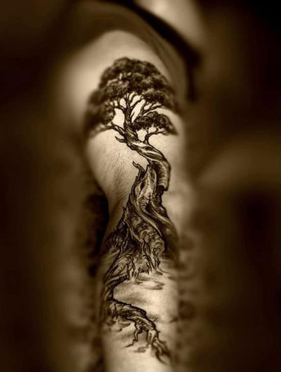 beautiful-tree-tattoo