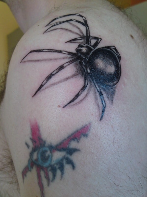 bitter-spider-tattoo