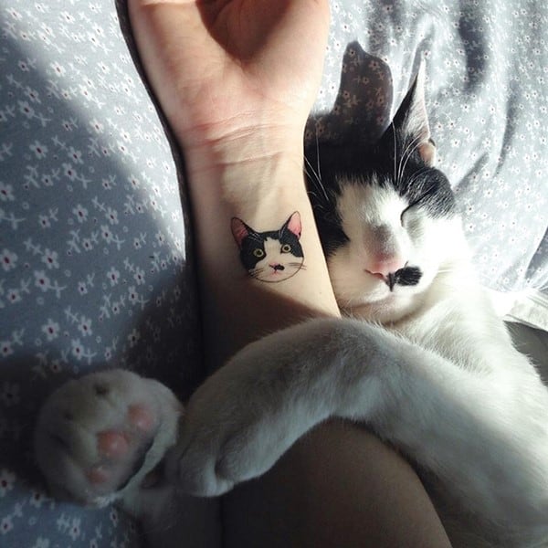 cat-tattoo-illegal-outlaw-tattoo-artists-south-korea-2