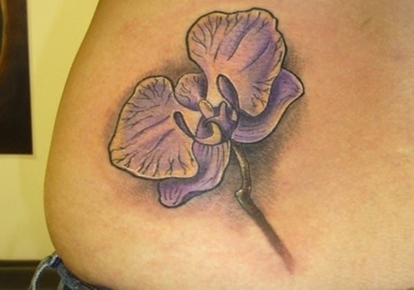 cool-orchid-cover-up
