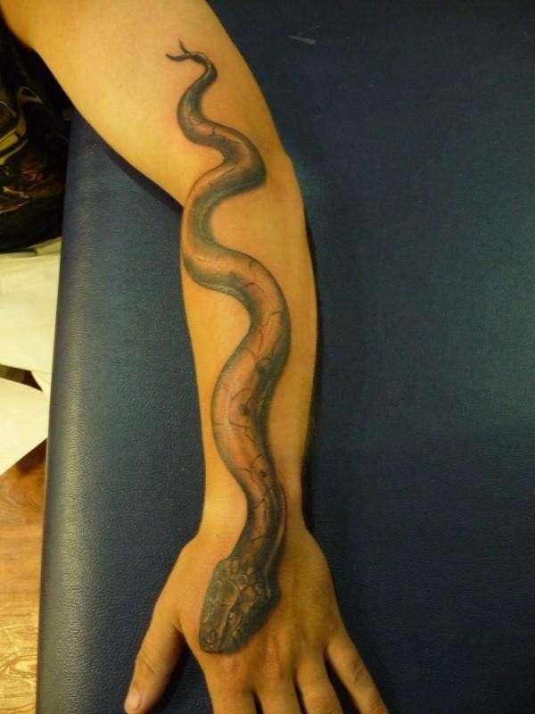 crolling-snake-tattoo