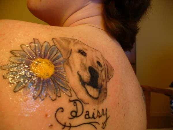 daisy-with-dog