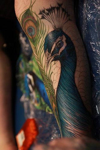 Detailed Peacock Tattoo