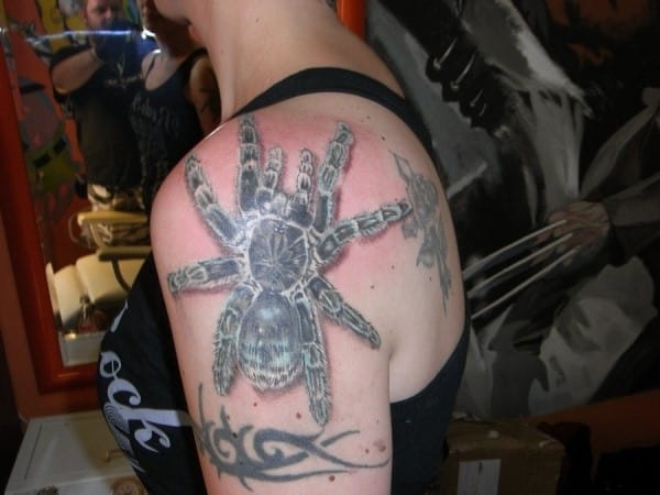 evil-spider-tattoo