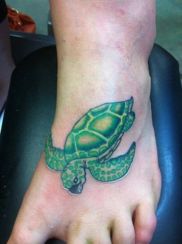 green-turtle-on-foot