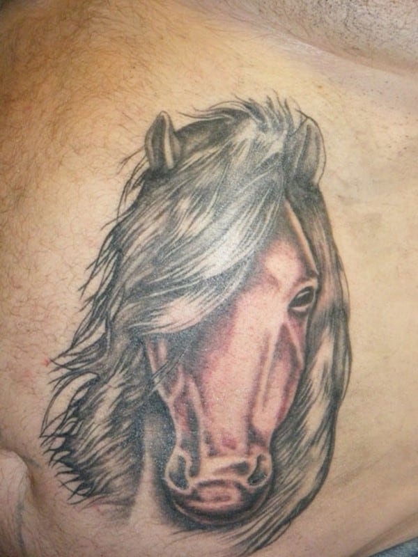 horse-tatt