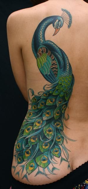 Lovely Peacock Tattoo