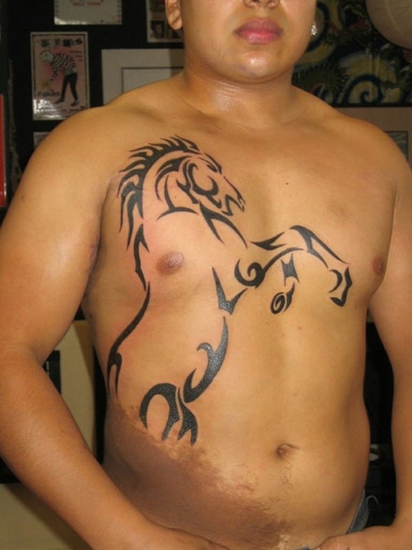 nice-body-horse