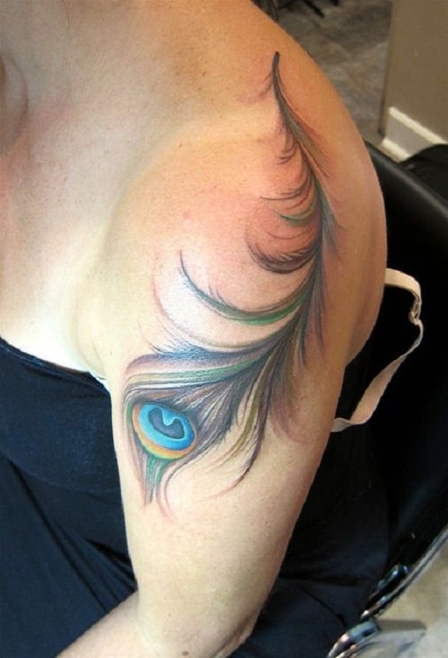 Peacock Feather On Shoulder Tattoo