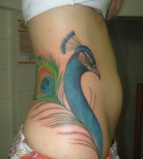 100 Amazing Peacock Tattoos With Meanings and Ideas  Body Art Guru