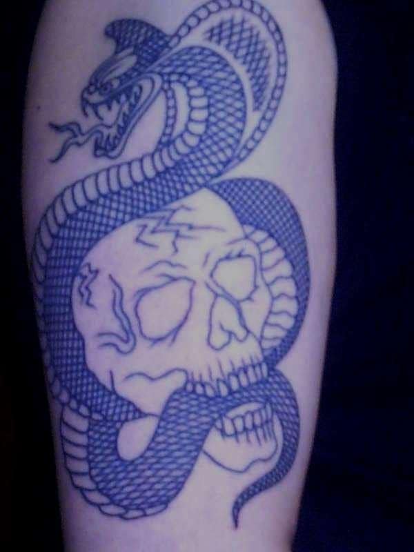 snake-and-skull-tattoo