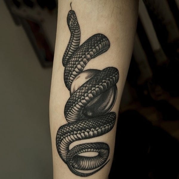 15 Snake Wrapped Around Arm Tattoo