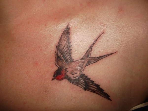 swallow-tattoo