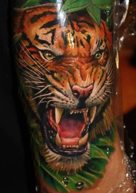 New angry tiger tattoo