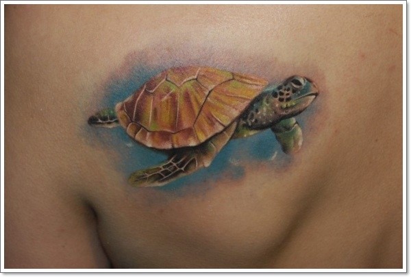 turtle-tattoos-designs