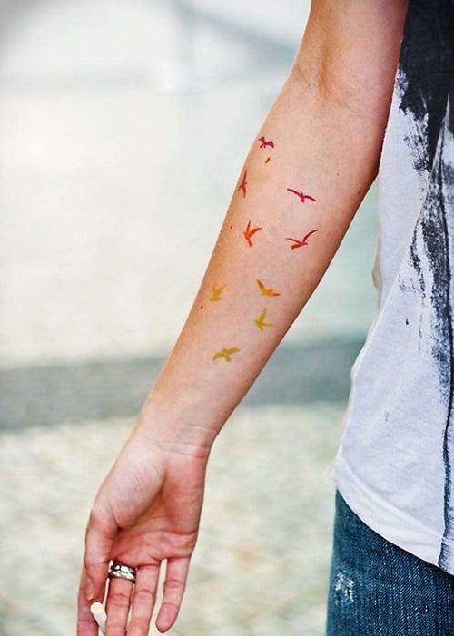 Colorful Bird Tattoos on Arm