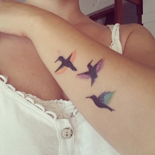 Colorful Birds Tattoos on Arm