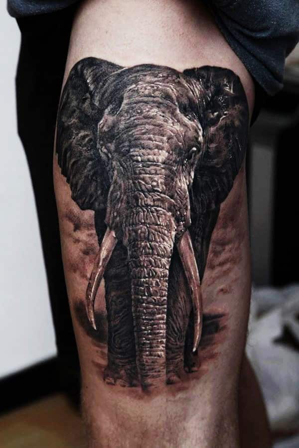 Angry Elephant Tattoos and Piercings  Winter Haven FL