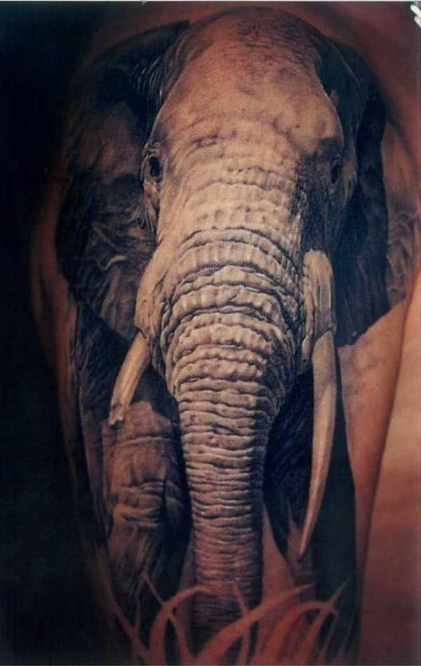 Cute And Impressive Elephant Tattoos