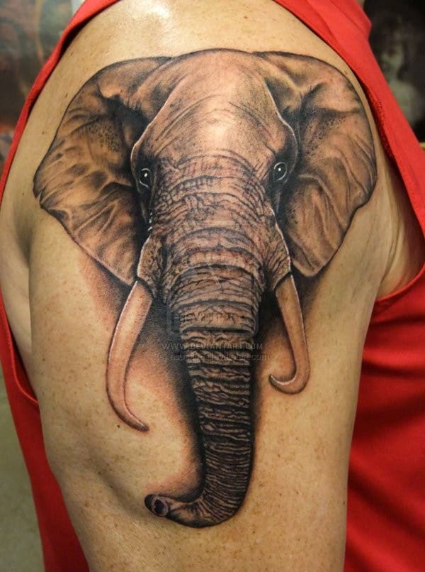 Cute Little Elephant Tattoos