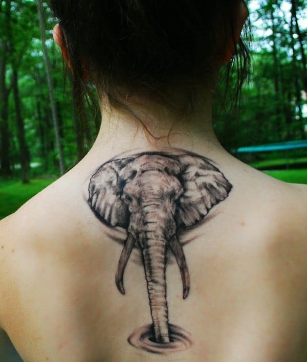 Elephant Butterfly Tattoo