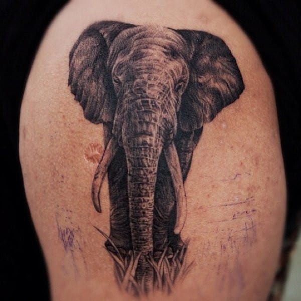 Elephant Tattoo Designs