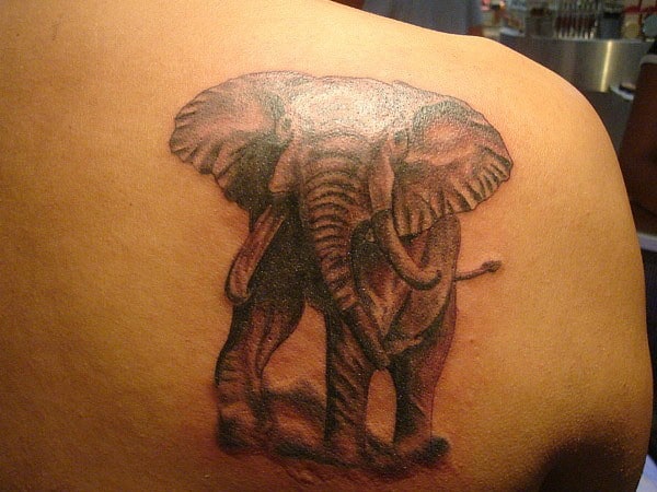 Elephant Tattoo On Foot